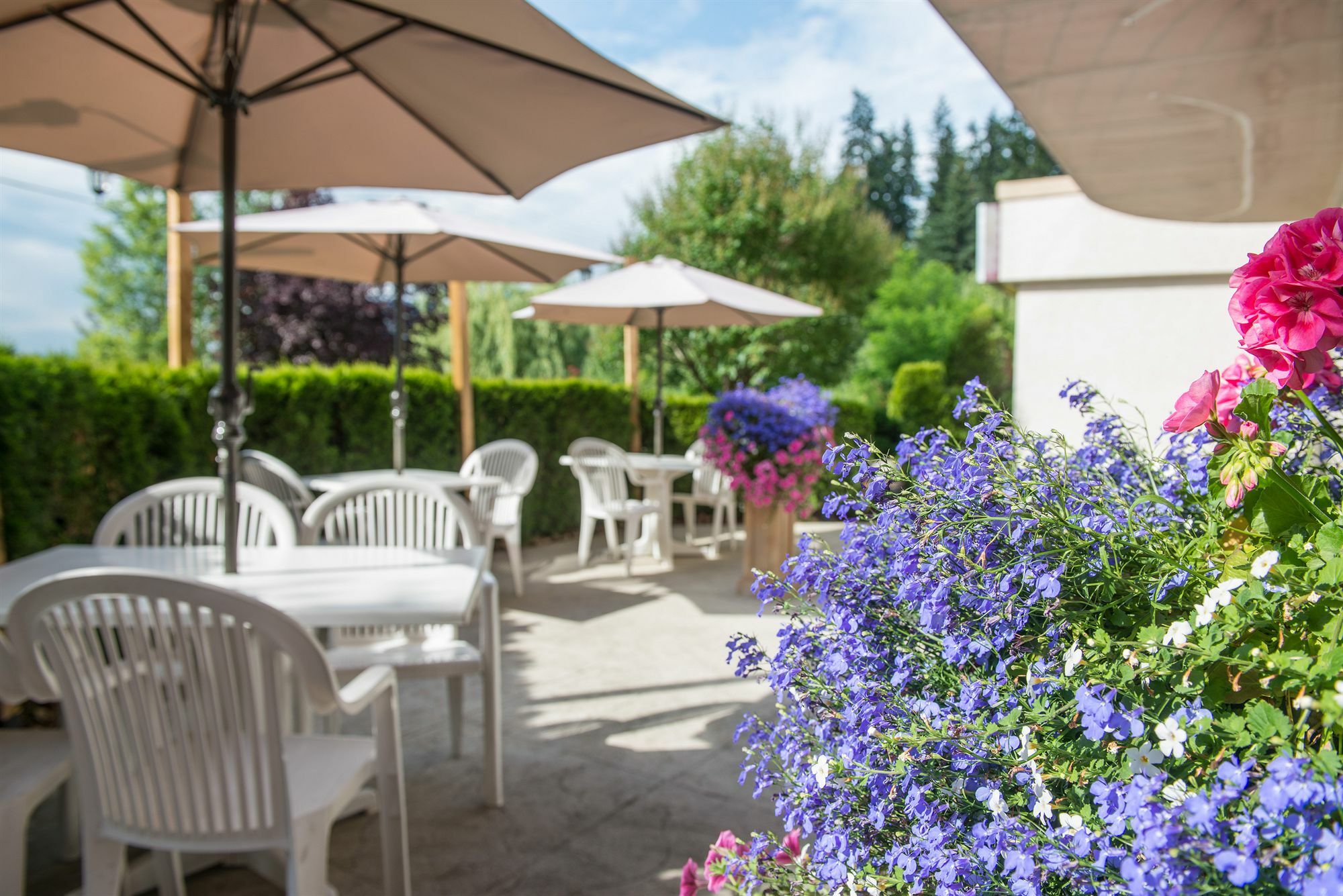 Hilltop Inn - Самон Арм Екстериор снимка